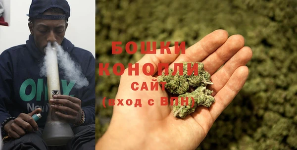 Альфа ПВП Горно-Алтайск