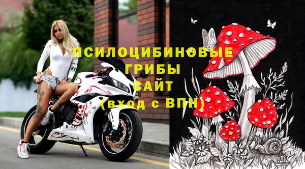 Альфа ПВП Горно-Алтайск