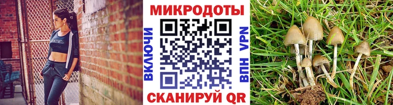 Галлюциногенные грибы Magic Shrooms  как найти наркотики  МЕГА ссылки  Ефремов 