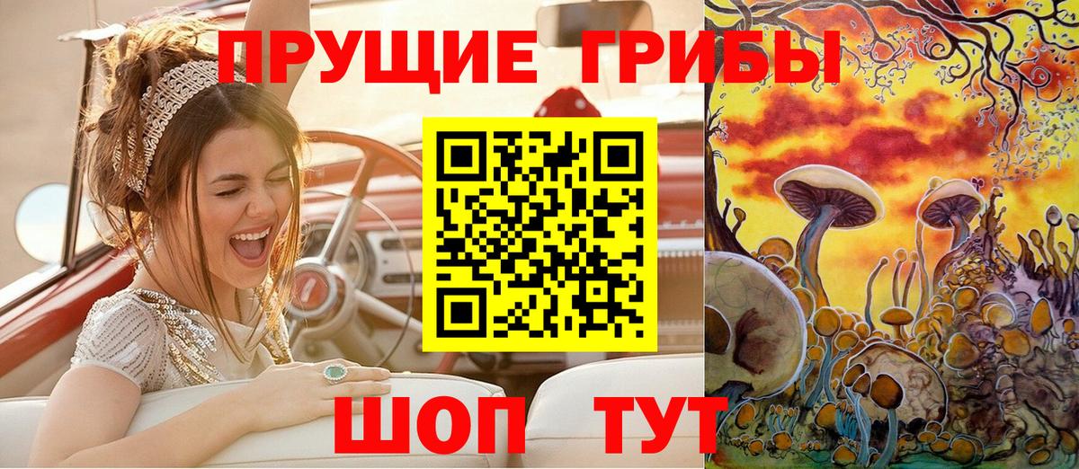 Псилоцибиновые грибы мухоморы  Псилоцибиновые грибы Cubensis  Ефремов 