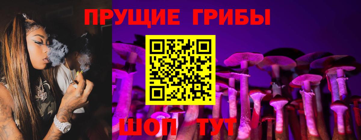 Галлюциногенные грибы Psilocybe Ефремов
