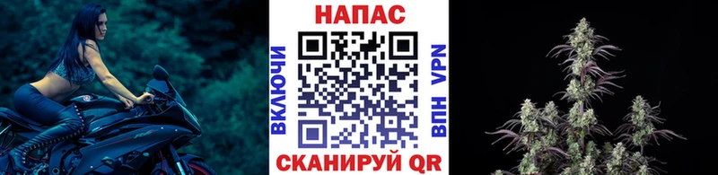 что такое наркотик  Ефремов  Канабис тримм 