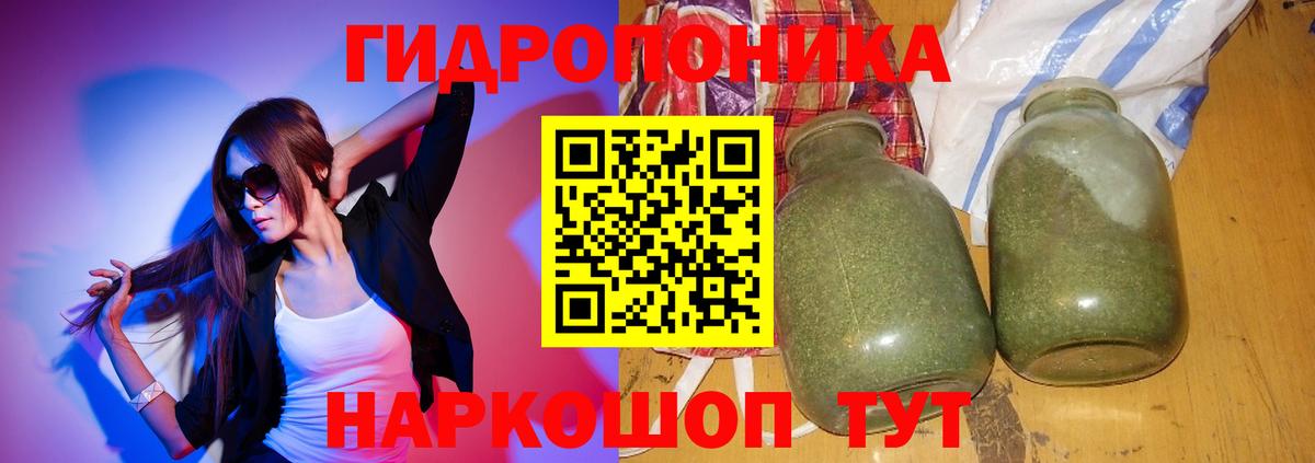 Бошки Шишки план Ефремов